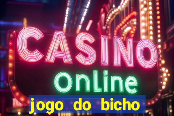 jogo do bicho crash bingo